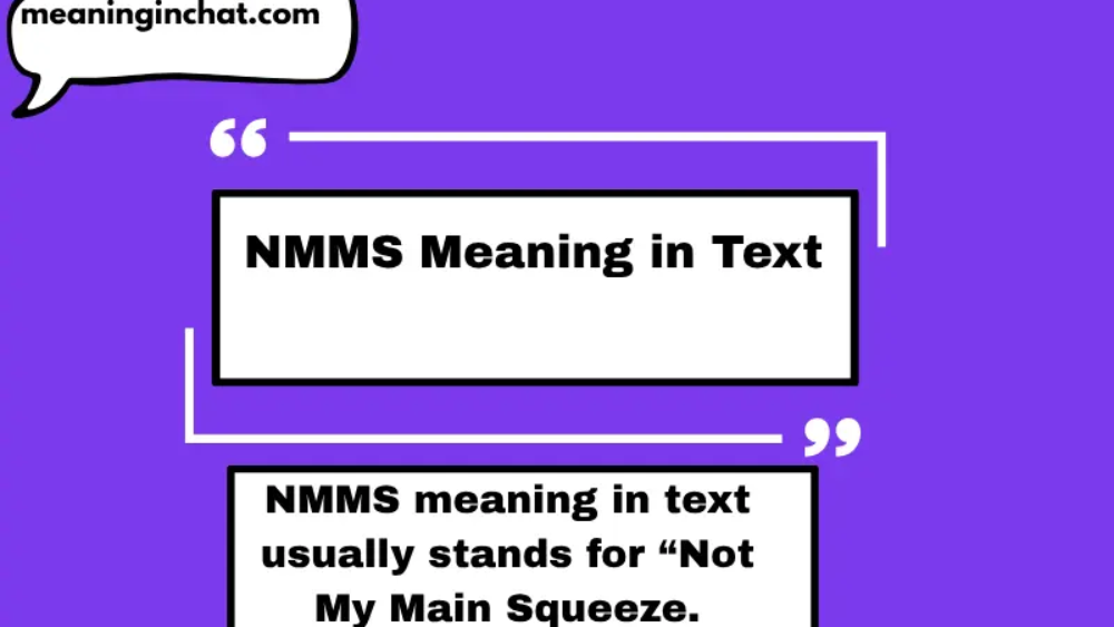 NMMS Meaning in Text