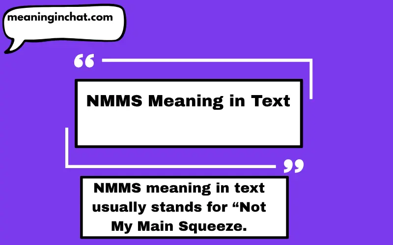NMMS Meaning in Text