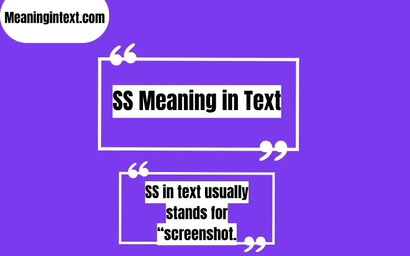 SS Meaning in Text