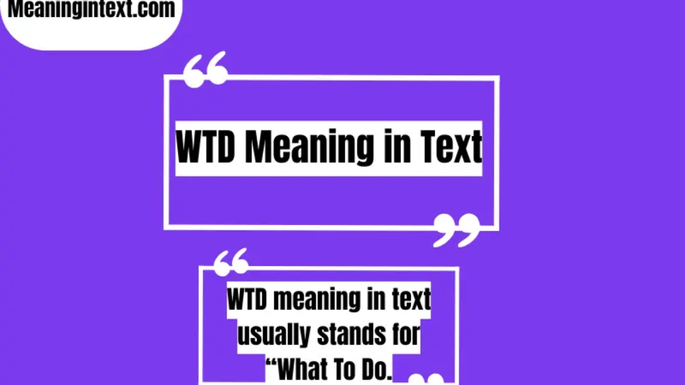 WTD Meaning in Text