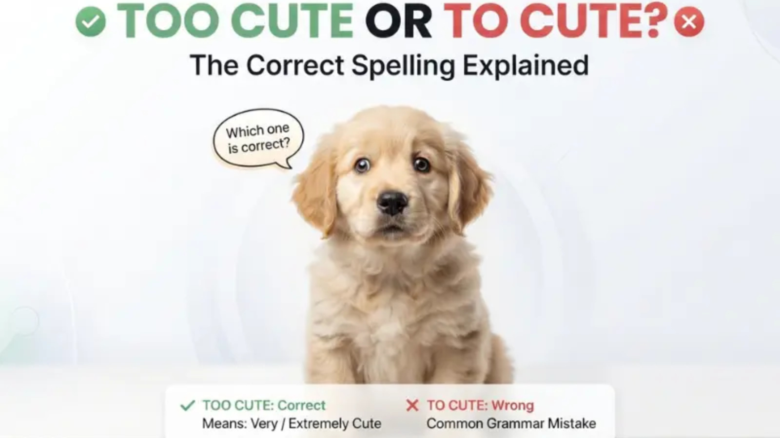 Too Cute or To Cute