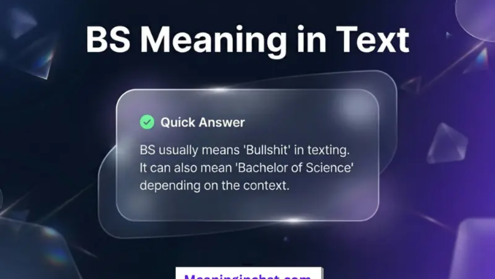 BS Meaning in Text