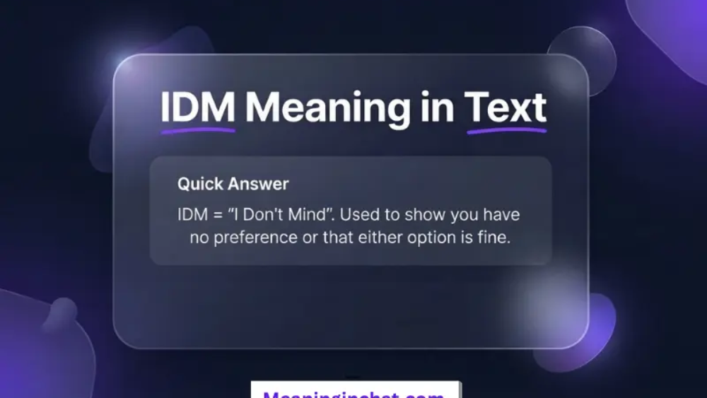 IDM Meaning in Text