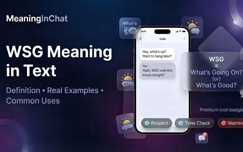 WSG Meaning in Text