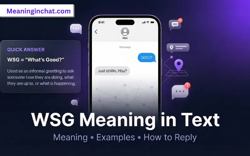 WSG Meaning in Text