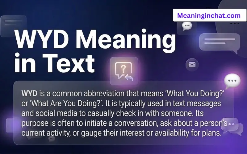 WYD Meaning in Text
