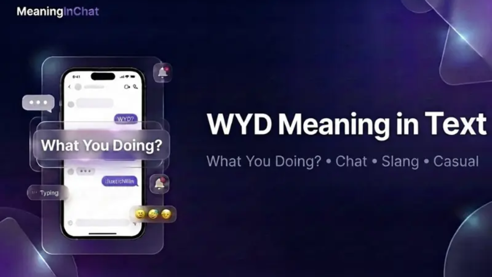 WYD Meaning in Text
